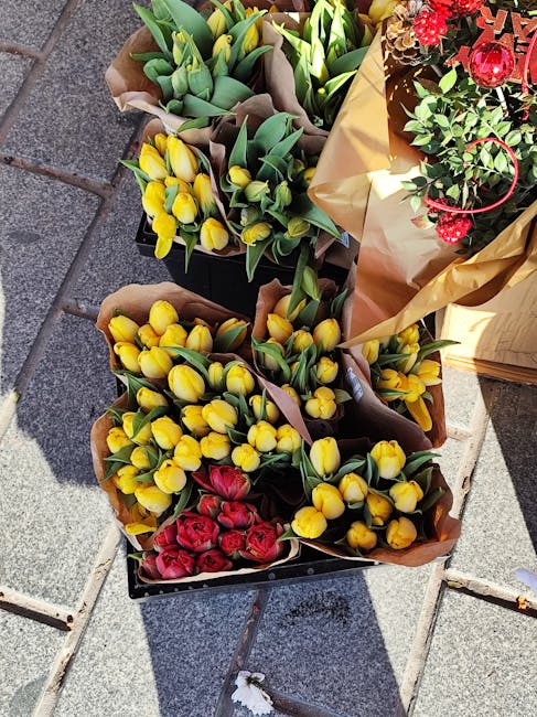 Several bouquets of fresh flowers displayed outdoors on a paved surface, featuring yellow tulips with closed petals and green stems, arranged in brown wrapping paper, and vivid red flowers with smalle